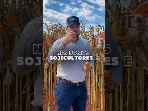 Estivemos na Fazenda Dois Irmãos, em Santa Rosa de Goiás, para mais uma Rota Técnica de milho🌽