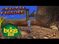 Let S Play A Bug S Life 2014 Retrospective Part 1