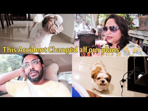 This Accident Changed all our plans | 2 days in Vet clinic Video