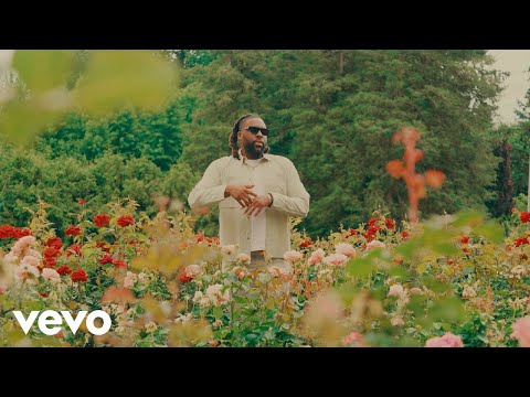 Rexx Life Raj, Dame D.O.L.L.A. - Hook Mitchell (Official Video)