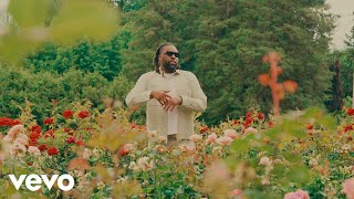 Rexx Life Raj, Dame D.O.L.L.A. - Hook Mitchell (Official Video)