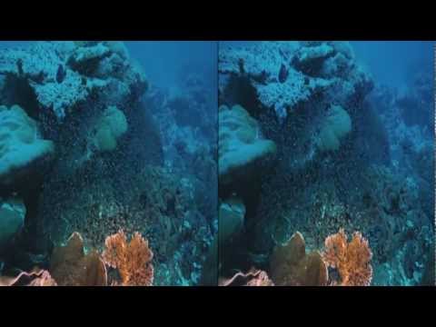 The Last Reef 3D (2012) Trailer