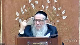 "ד - ליקוטי שיחות חלק ט"ו שיחה עשרה בטבת חלק א (הרב אברהם מנחם מענדל וכטר) - התמונה מוצגת ישירות מתוך אתר האינטרנט יוטיוב. זכויות היוצרים בתמונה שייכות ליוצרה. קישור קרדיט למקור התוכן נמצא בתוך דף הסרטון