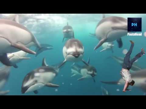 Giovanni Storti Somersault   Shooting Stars