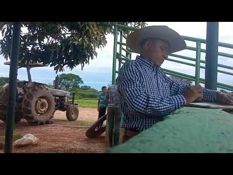 Francisco Machado - El Tiempo Es Oro (Vídeo Oficial) | Música Llanera 🎶Arpa Victor Ortega