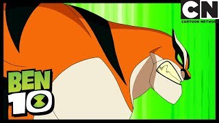 Ben 10 Español | Transformación de Airado - Nuevo Alien | Airada convención | Cartoon Network