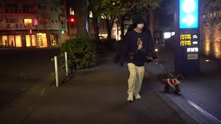 クリスマスイヴにすき家を食べるなんとも悲しい21歳の日常