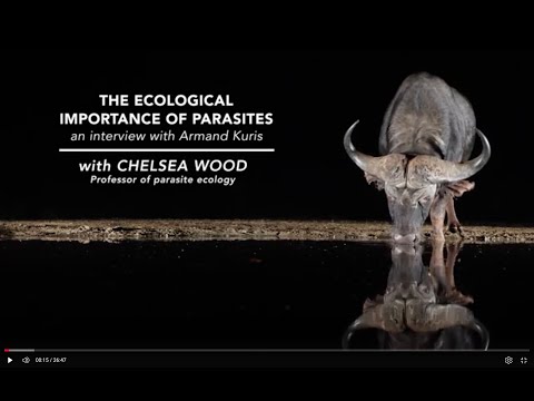 The ecological importance of parasites