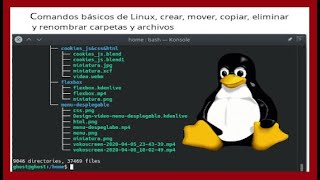 Comando basicos de terminal en Linux, Manipular carpetas y archivos desde la terminal en linux,.