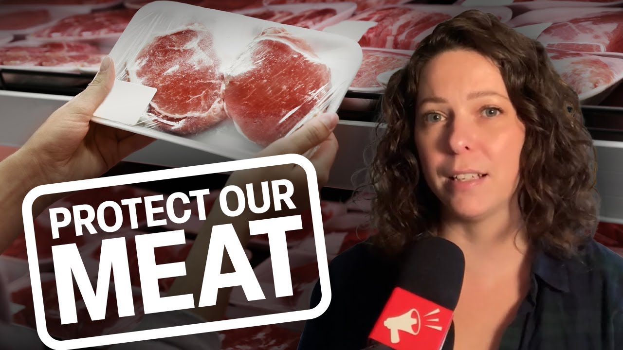 Tell Health Canada: No cloned meat!