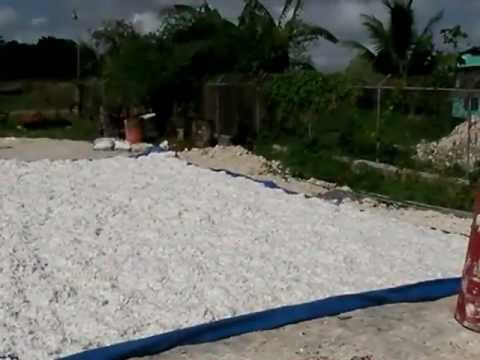 シーアイランドコットン - 定義