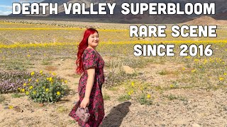 Death Valley Superbloom 2026🌼💐🌸 Death Valley National Park, Badwater Basin, Daily Vlog
