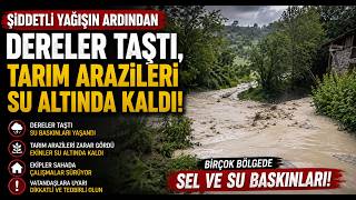 Şiddetli Yağışın Ardından Dereler Taştı, Tarım Arazileri Su Altında Kaldı