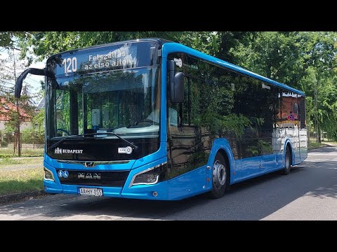 Budapest, 120-as busz Göncz Árpád városközpont M -Kámfor utca | MAN Lion's city 12C, AA HY-857