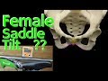 Saddle Setup Tilt For Women Are There Special Considerations