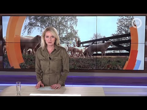 Kijk op Gelderland 20 mei 2019