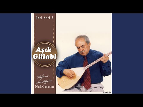 Video Yükleniyor...
