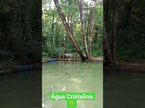 Balneário do Mir, em São João da Ponta _Pará #paraiso #lugarlindo