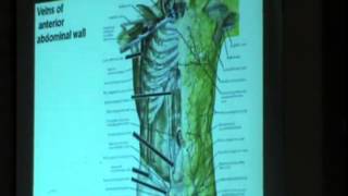 3) Dr.Walaa 12/02/2015 [Blood supply & Nerve supply of the Anterior Abdominal wall]