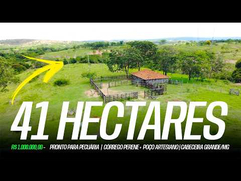 41 hectares, Cabeceira Grande - MG | Pronto para Pecuária | Perto de Brasília | R$ 1.000.000,00