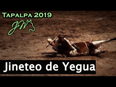 JINETEO DE YEGUA - 7° Campeonato de la Sierra TAPALPA 2019