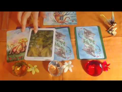 Engel Wochenorakel vom 15. 21. Februar 2016 Conny Koppers