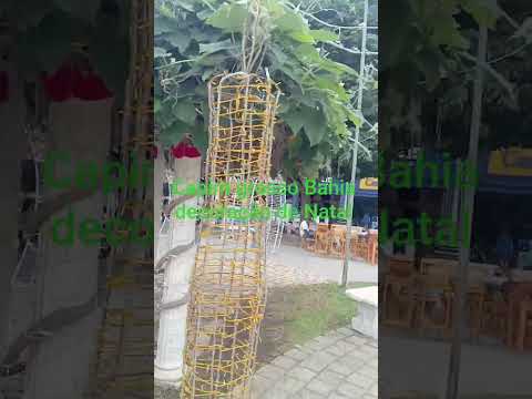#capim grosso Bahia decoração de Natal