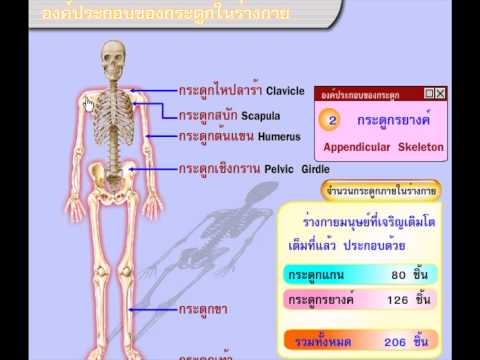 ค้อนร้านขายยาตเวียร์ของ ธ อร์ ที่มีความจำเป็นเพื่อกระตุ้นผู้หญิงจูบ