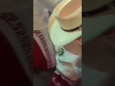 La Num.1 original comparsa la CUMBRE 🎭