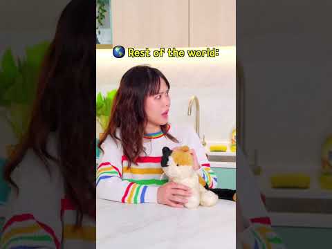 How the REST OF THE WORLD see CATS VS how JAPAN sees CATS 🐈