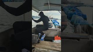 Download lagu Tarikan abek #mancing #kakipancing_malaysia mp3