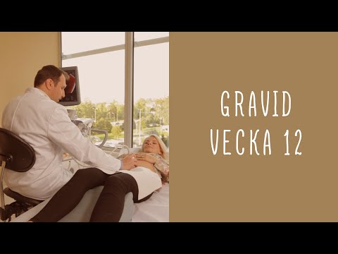 Gravid vecka 12