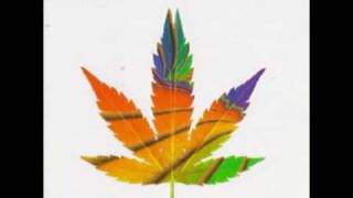 Zion Train - The Healing Of The Nation