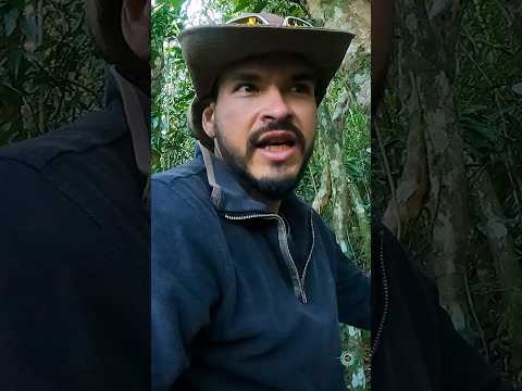 Vem ver nosso Diário de bordo, onde subimos a Pedra do Cachorrinho em Gravataí!