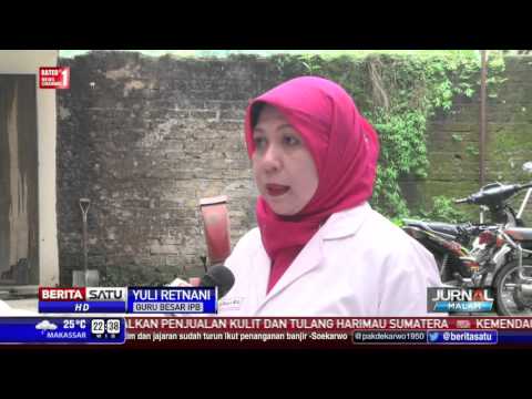 Dari klamidia dapat impotensi Apa yang harus dilakukan ketika masalah dengan potensi