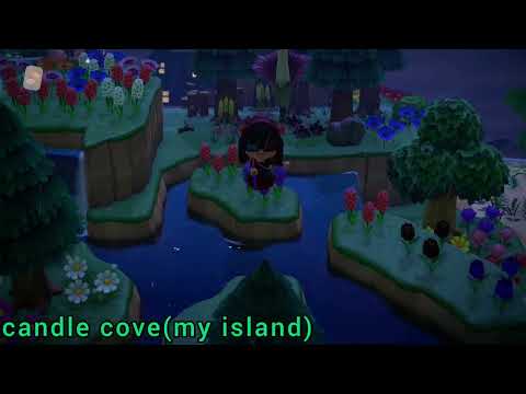 Why I Love Animal Crossing Wild World: A Retrospective