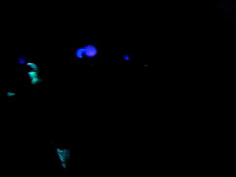 Reo Daje forte Live @ Colocon Circus Party