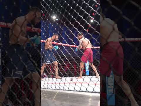 UFC video artwork