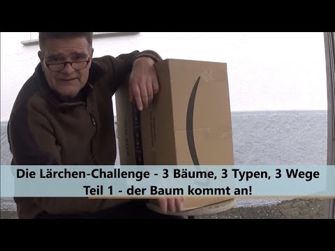 Die Lärchen Challenge 2021-1 - 3 Bäume, 3 Typen, 3 Wege -  Teil 1 - der Baum kommt an!