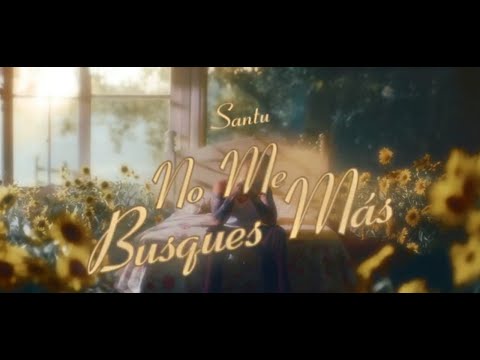 NO ME BUSQUES MÁS - SANTU (OBRA #13)