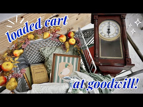 THRIFTING AT GOODWILL & STYLED THRIFT HAUL | Thrift With Me, Home Decor
