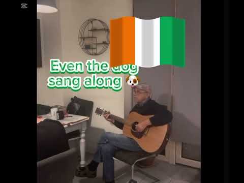 Oiche maith. Even my dog is a far right Irish thug I guess. He started singing too. 😆🇮🇪