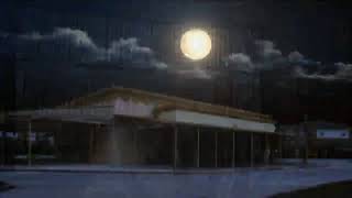 صورة محاضرة التفسير للدكتور صلاح الصاوي - الزمر 23