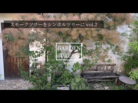 手間をかけずに庭のモクレンをうまく維持するためのアドバイスと推奨事項  庭園