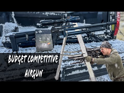 Umarex Zelos: The Budget Friendly COMPETITION AIRGUN?! Let’s Find Out!