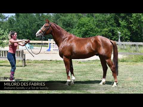 MILORD DES FABRIES
