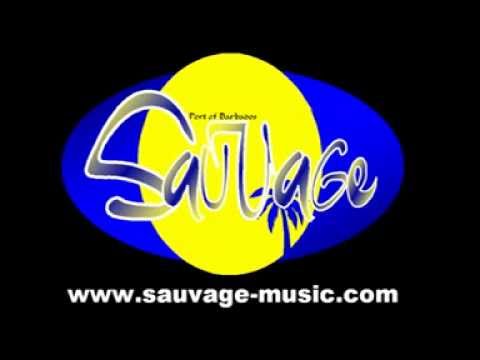 Samba de Janeiro - Sauvage Cover Instrumental