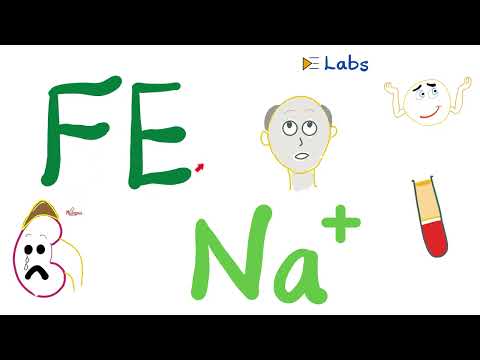 Fractional Excretion of Sodium (FENa) - Kidney Function Tests - Nephrology Labs