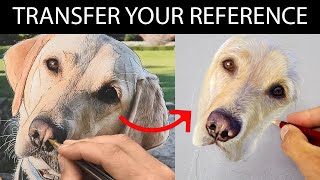 Transfer your Reference Photo - LINE ART  - Jason Morgan Pastel artist