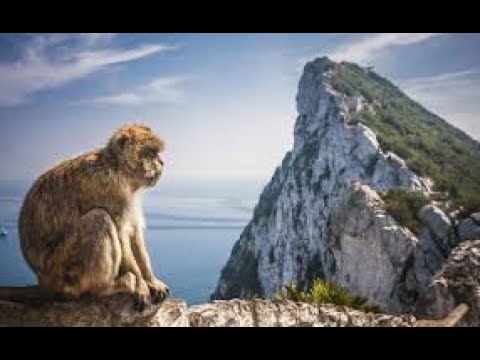 Eps 54 Rock climbing in Gibraltar